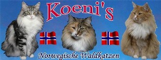 Koenis